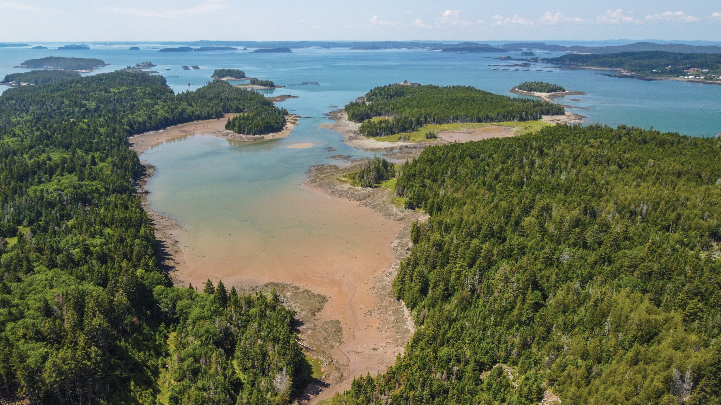 Great Fundy Coastal Cleanup on Frye Island Nature Preserve
